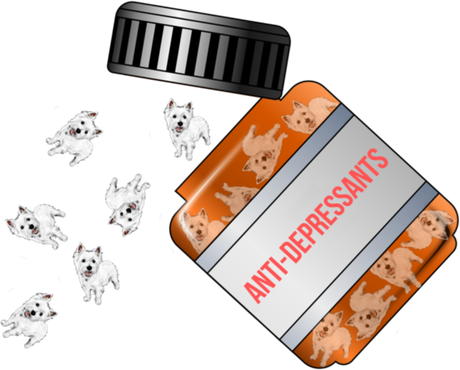 Nadruk Westie Anti-Depressants - Przód